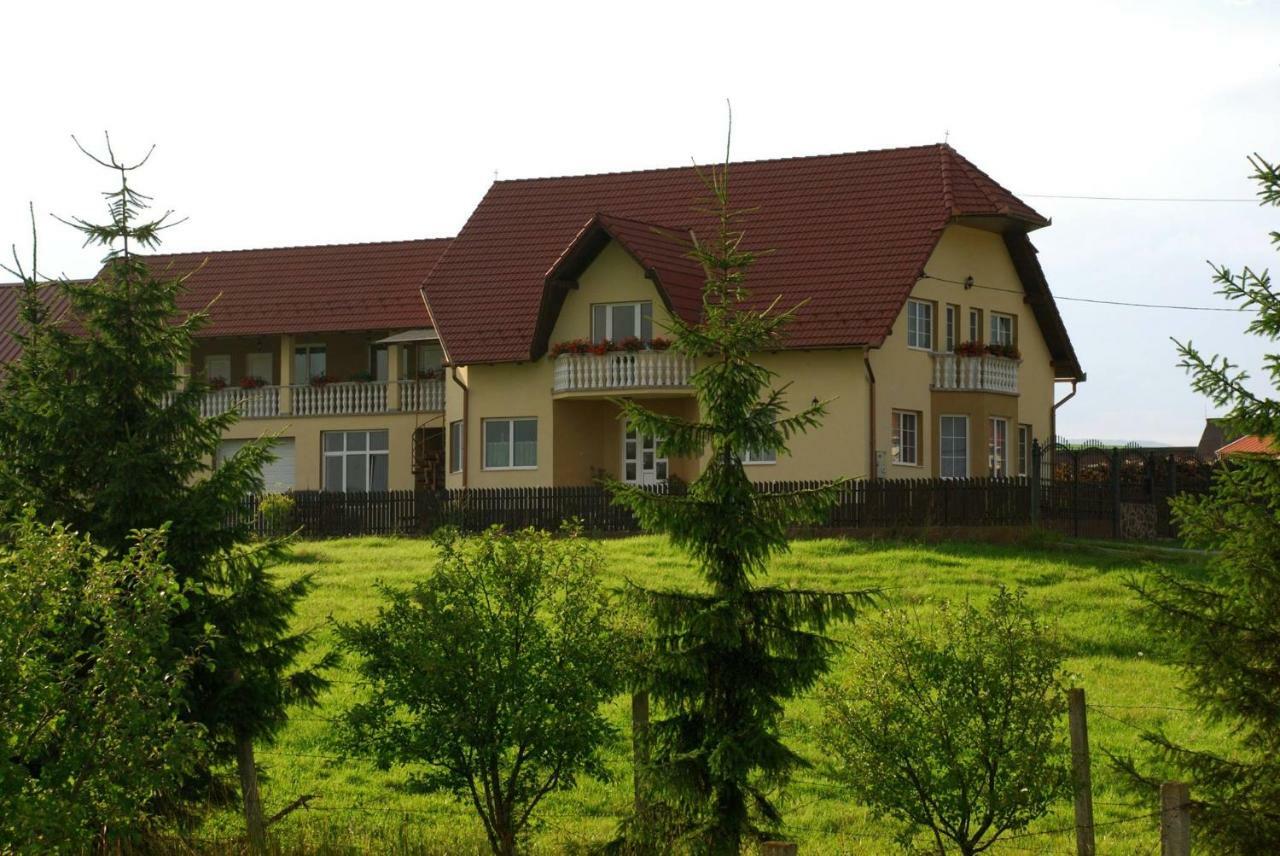 Margaréta Vendégház Lupeni (Harghita) Exterior foto